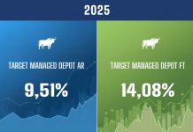 Performance-Analysen 2025: Target Managed Depot AR und Target Managed Depot FT